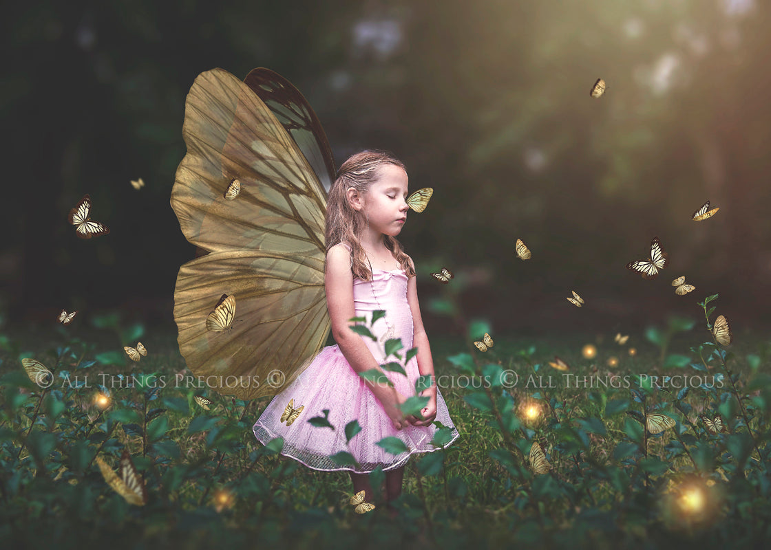 Fairy Wing & Butterfly Overlays For Photographers, Photoshop, Digital art and Creatives. Butterfly fairy wings, Png overlays for photoshop. Photography editing. High resolution, 300dpi. Overlay for photography. Digital stock and resources. Graphic design. Wings for Photos. Colourful Faerie Wings. Butterflies. Overlays for Edits.